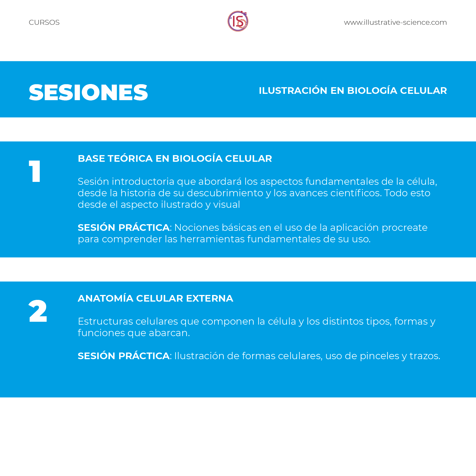 Curso ilustración · Biología Celular en Procreate - Imagen 3